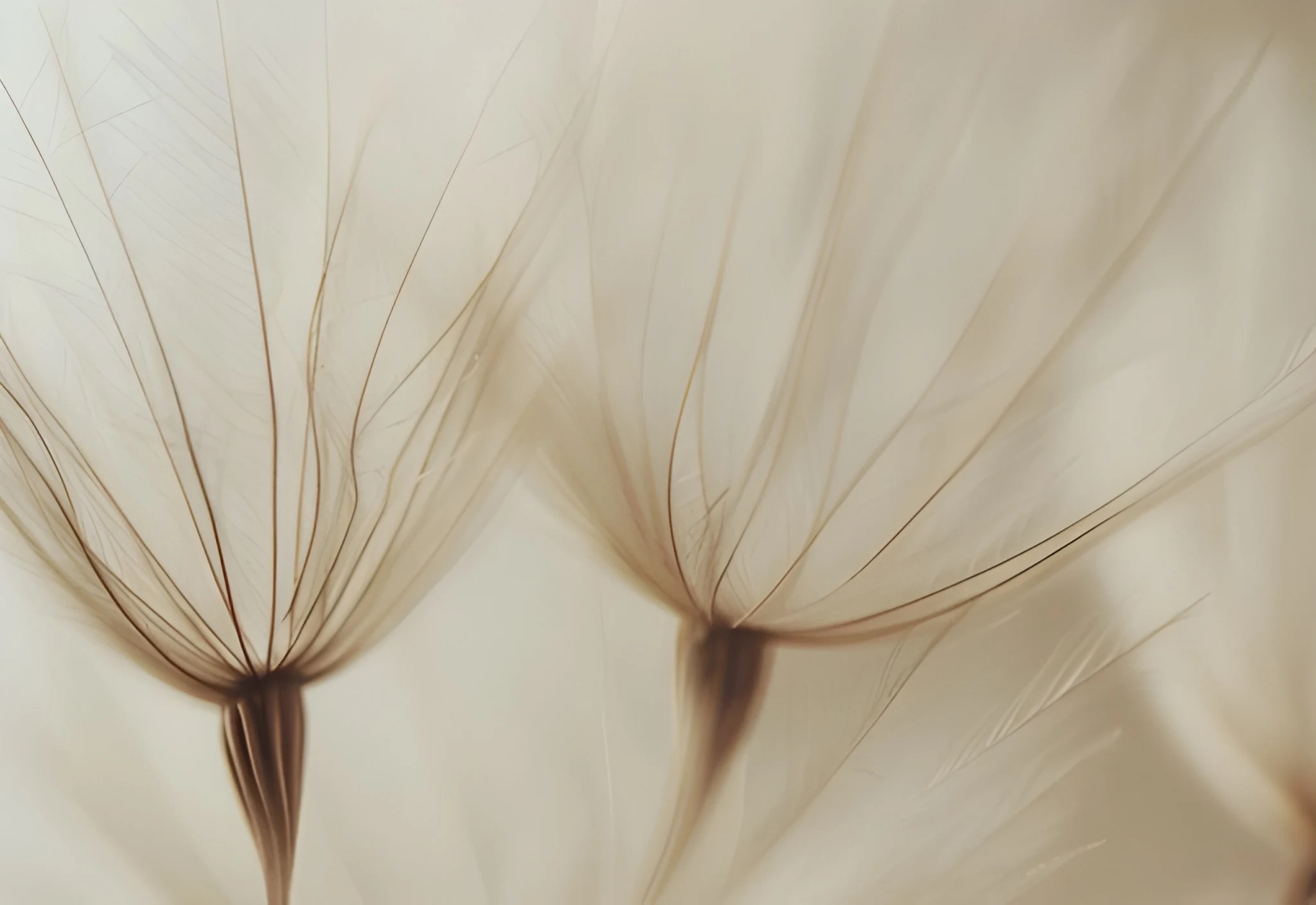 The Forgotten Art of Belonging